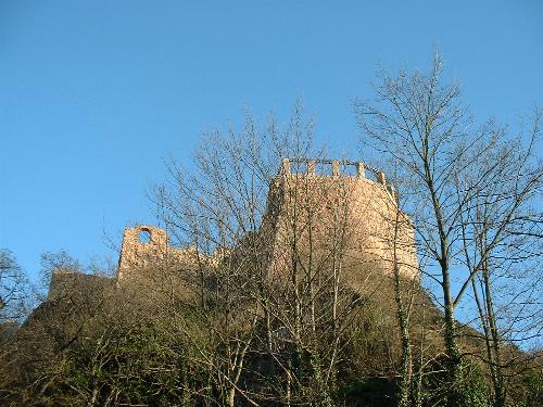 Blick auf Burg Giebichenstein